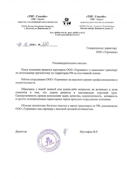 ТНГ Геосейс